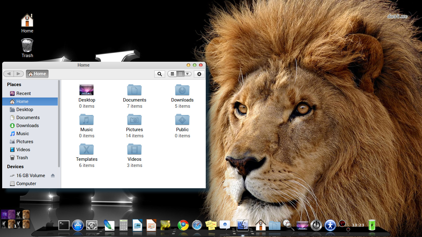 Mac OSX Lion.jpg
