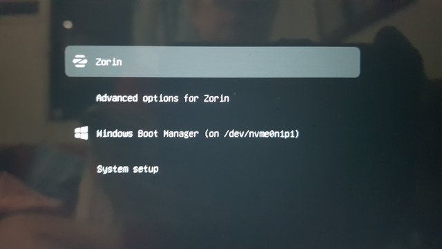 ZORIN_BOOT1.png